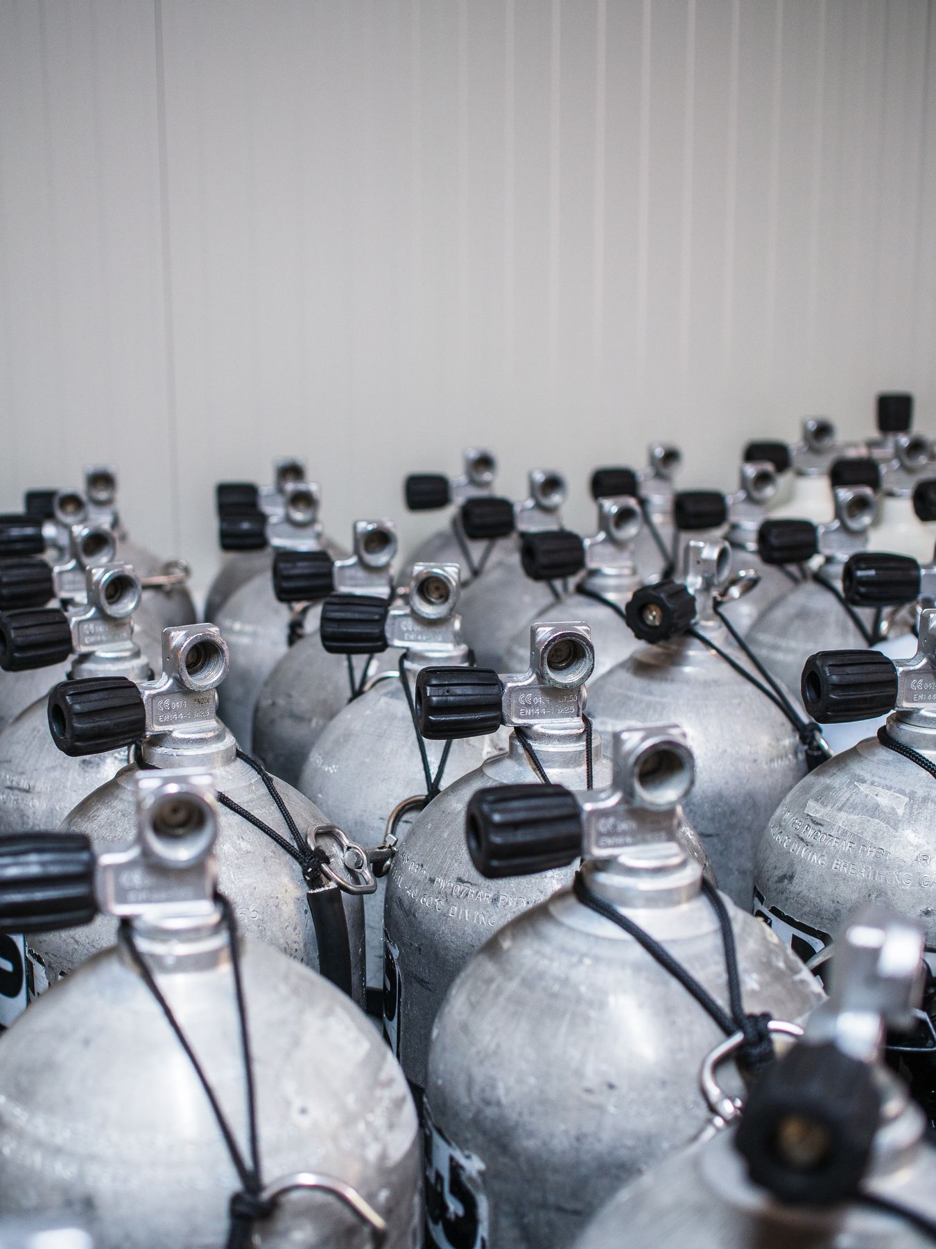 Rental dive cylinders lined up and ready