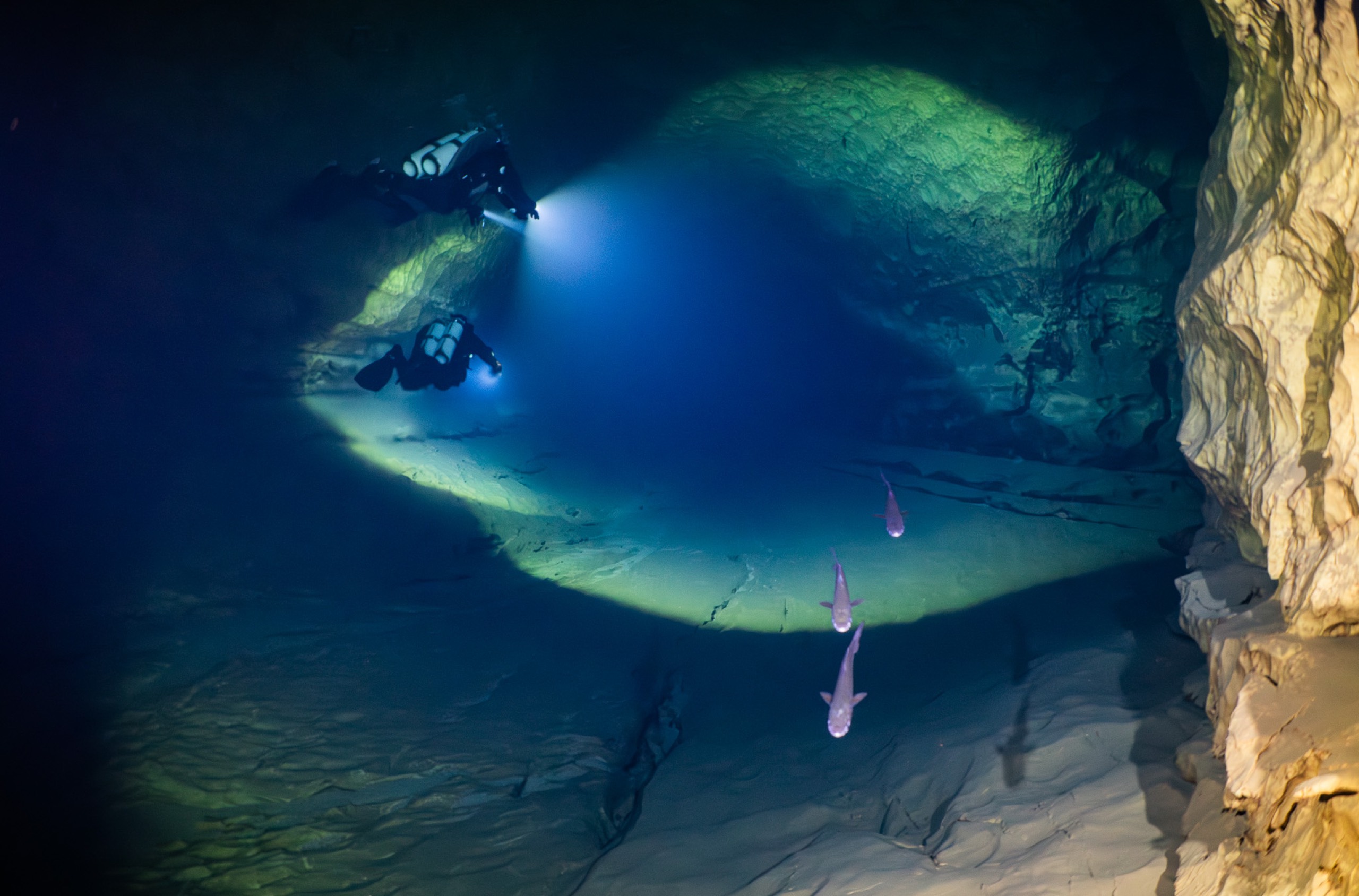 Grotta del Bue Marino — photo 3