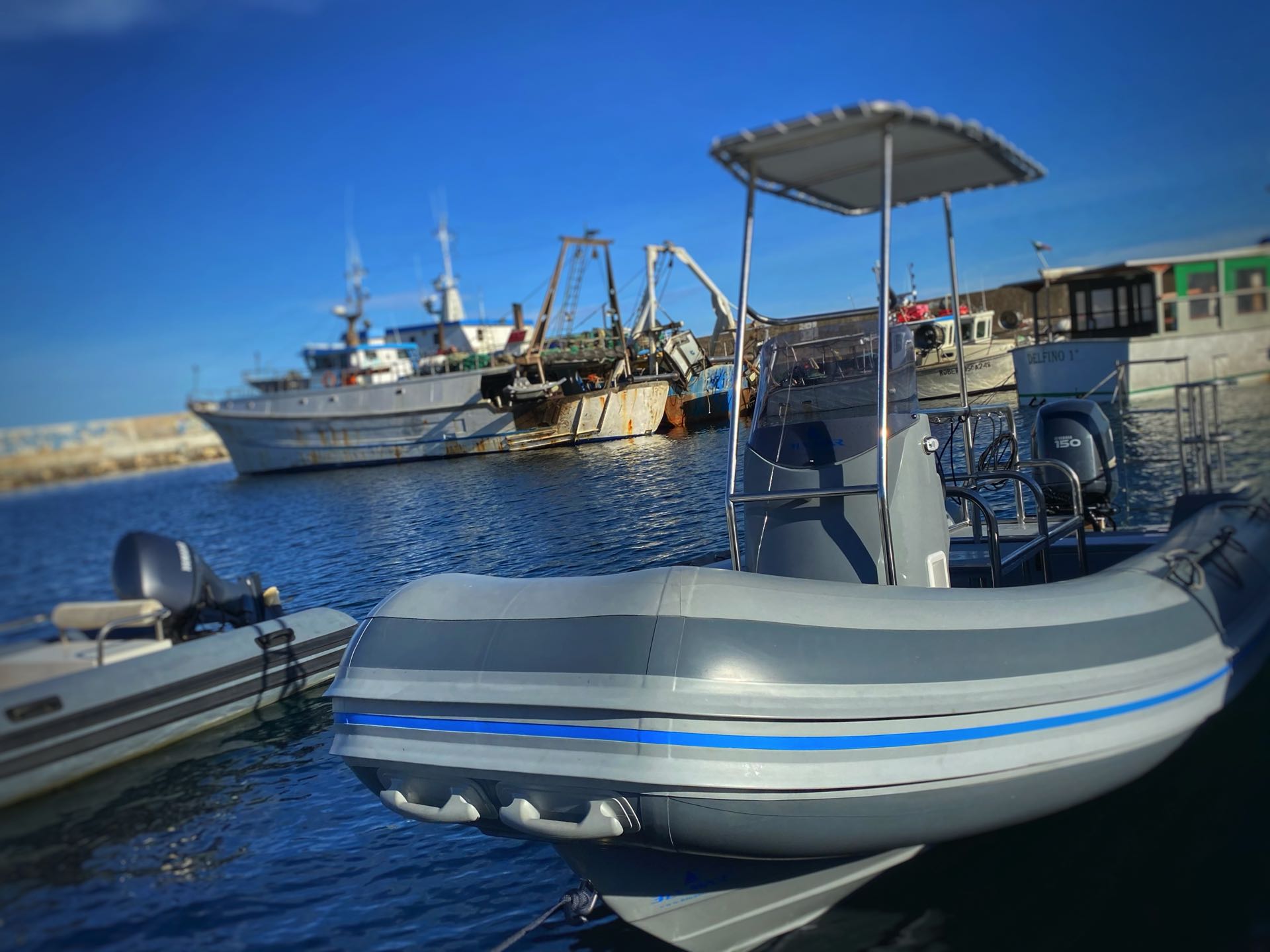 Dive RIB on the water